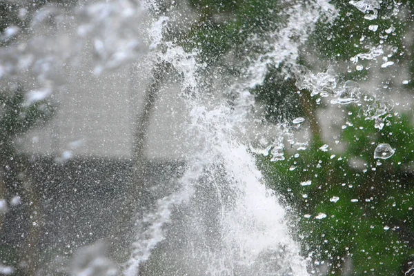 Das Quellbecken Auf Dem Naturgrundstück September 2008 — Stockfoto