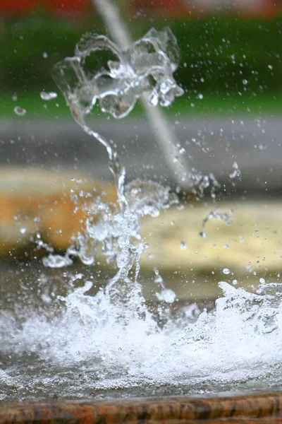 Das Quellbecken Auf Dem Naturgrundstück September 2008 — Stockfoto