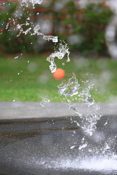 Das Quellbecken Auf Dem Naturgrundstück September 2008 — Stockfoto