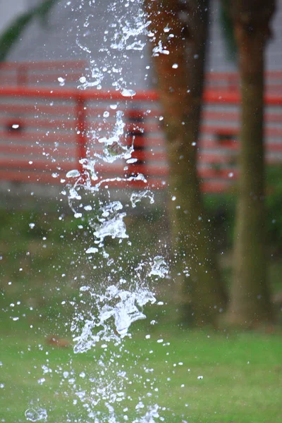 Het Voorjaarsbad Achtergrond Van Natuur September 2008 — Stockfoto