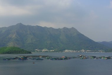 21 Eylül 2008 Sam Mun Tsai Köyü Tai Po, Hong Kong