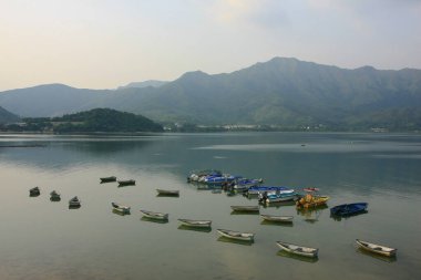 21 Eylül 2008 Sam Mun Tsai Köyü Tai Po, Hong Kong