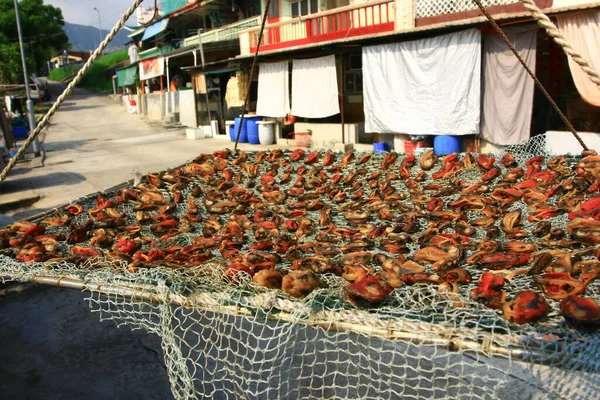 Settembre 2008 Sam Mun Tsai Village Tai Hong Kong — Foto Stock