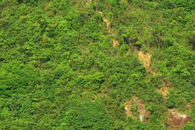 23 Haziran 2008 Victoria Limanı 'nı gözlemlemek için hedef nokta.