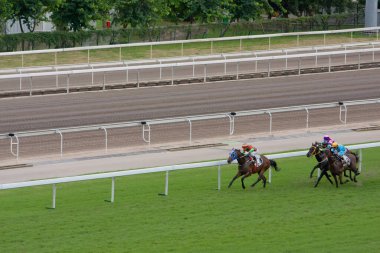 1 Temmuz 2008 'de Hong Kong Jokey Kulübü' nde At Yarışları