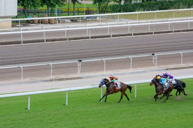 1 Temmuz 2008 'de Hong Kong Jokey Kulübü' nde At Yarışları
