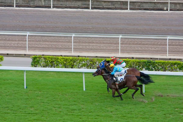 Процитовано Липня 2008 Horse Racing Hong Kong Jockey Club — стокове фото