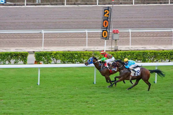 Julho 2008 Corrida Cavalos Hong Kong Jockey Club — Fotografia de Stock