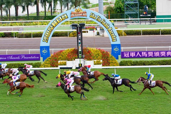 Luglio 2008 Horse Racing Hong Kong Jockey Club — Foto Stock