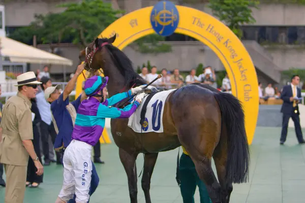 Julio 2008 Carreras Caballos Hong Kong Jockey Club —  Fotos de Stock