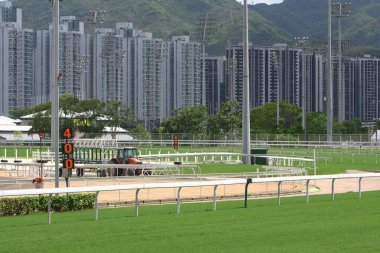 1 Temmuz 2008 'de Hong Kong Jokey Kulübü' nde At Yarışları
