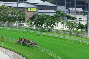 1 Temmuz 2008 'de Hong Kong Jokey Kulübü' nde At Yarışları