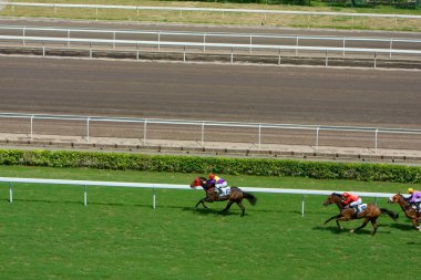 1 Temmuz 2008 'de Hong Kong Jokey Kulübü' nde At Yarışları