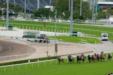 1 Temmuz 2008 'de Hong Kong Jokey Kulübü' nde At Yarışları