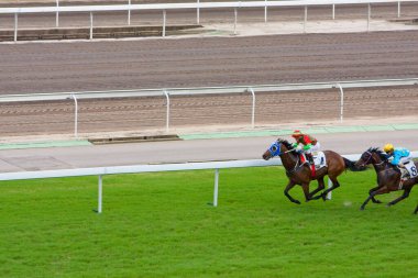 1 Temmuz 2008 'de Hong Kong Jokey Kulübü' nde At Yarışları