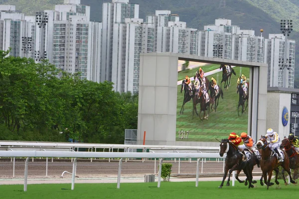 Lipca 2008 Wyścigi Konne Hong Kongu Jockey Club — Zdjęcie stockowe
