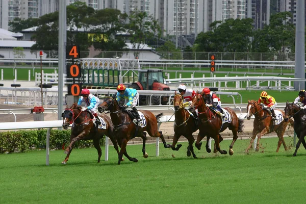 Juli 2008 Hästkapplöpning Hong Kong Jockey Club — Stockfoto