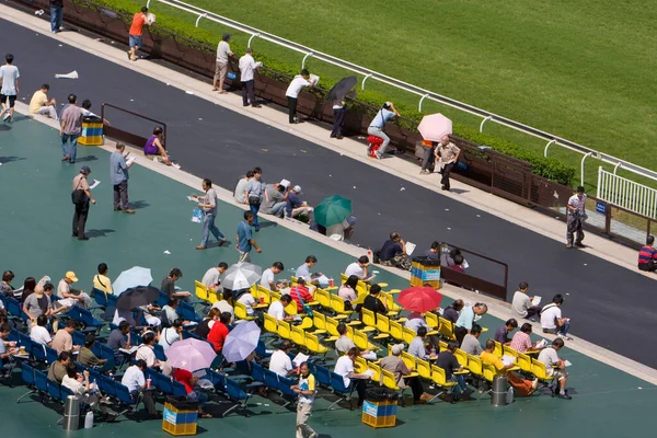 Julio 2008 Carreras Caballos Hong Kong Jockey Club —  Fotos de Stock