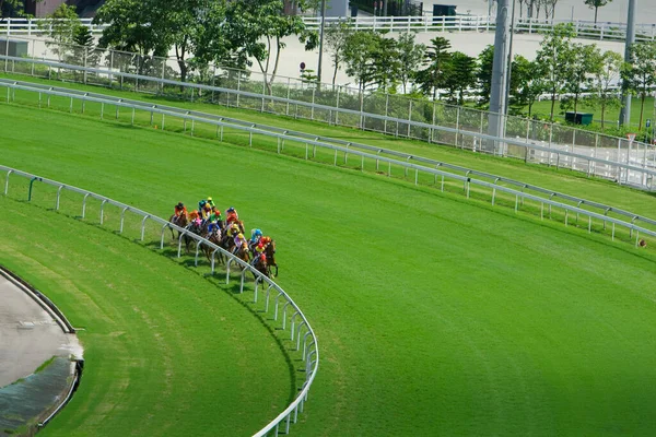 Juli 2008 Hästkapplöpning Hong Kong Jockey Club — Stockfoto