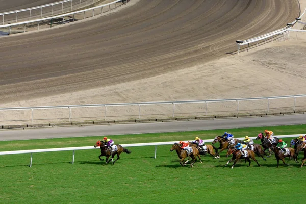 Julio 2008 Carreras Caballos Hong Kong Jockey Club —  Fotos de Stock