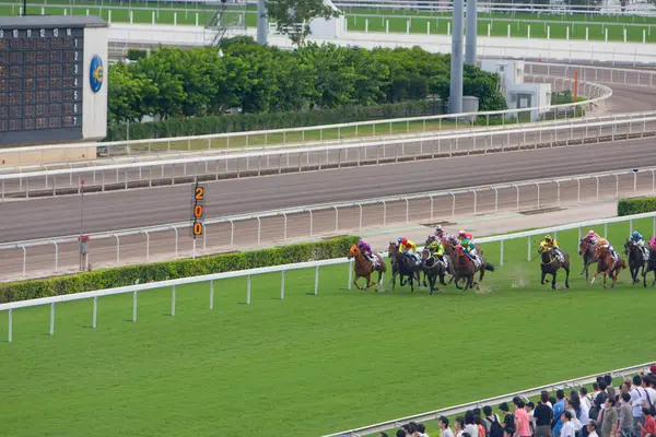 Luglio 2008 Horse Racing Hong Kong Jockey Club — Foto Stock