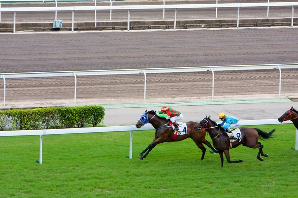 Julho 2008 Corrida Cavalos Hong Kong Jockey Club — Fotografia de Stock