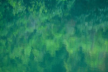 Tai Tam rezervuarı Hong Kong Adası 'nda 15 Kasım 2008 