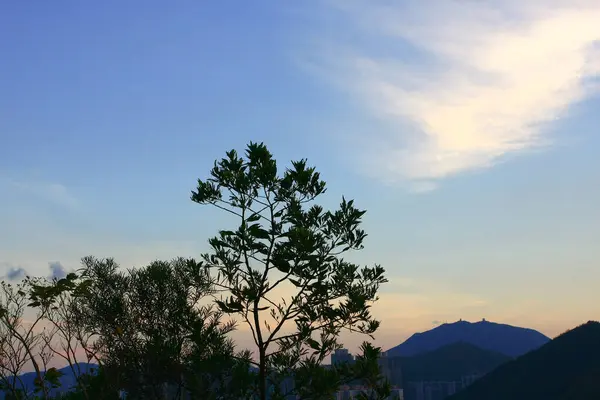 Ηλιοβασίλεμα Πίσω Από Λόφο Σκιαγραφίες Δέντρων Αυγούστου 2008 Hong Kong — Φωτογραφία Αρχείου