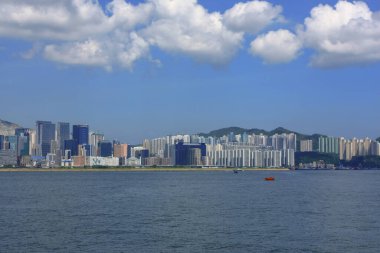 30 Ağustos 2008 'de Yau Tong' da görülen yüksek katlı apartman blokları.