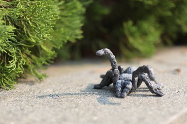 Dışarıdaki büyük ölçekli oyuncak küreği. 