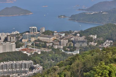 Tai Po Tsai Yeni Dünya 'nın yeni evi 13 Nisan 2020 