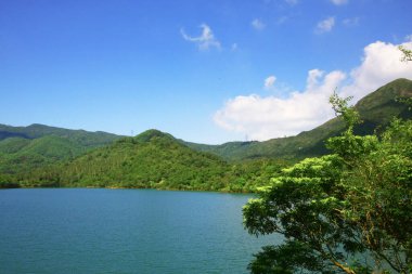 3 Ağustos 2008 Hong Kong Shing Mun Şehir Parkının yaz zamanı.