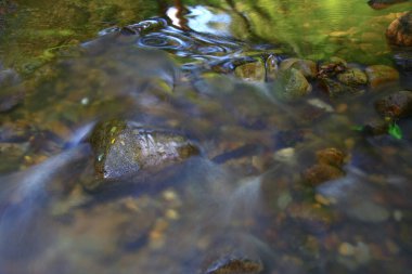 3 Ağustos 2008 Hong Kong Shing Mun Şehir Parkının yaz zamanı.