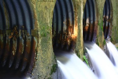 3 Ağustos 2008 Hong Kong Shing Mun Şehir Parkının yaz zamanı.