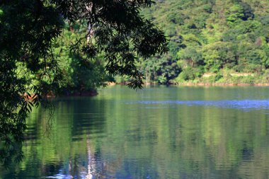 3 Ağustos 2008 Hong Kong Shing Mun Şehir Parkının yaz zamanı.