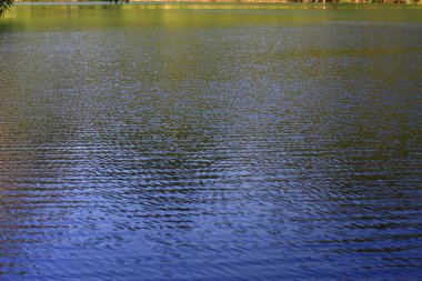 3 Ağustos 2008 Hong Kong Shing Mun Şehir Parkının yaz zamanı.