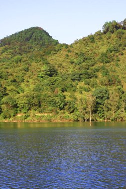 3 Ağustos 2008 Hong Kong Shing Mun Şehir Parkının yaz zamanı.