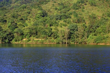 3 Ağustos 2008 Hong Kong Shing Mun Şehir Parkının yaz zamanı.