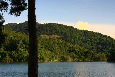 3 Ağustos 2008 Hong Kong Shing Mun Şehir Parkının yaz zamanı.