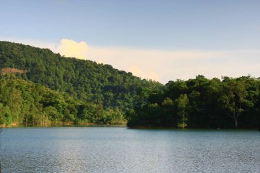 3 Ağustos 2008 Hong Kong Shing Mun Şehir Parkının yaz zamanı.