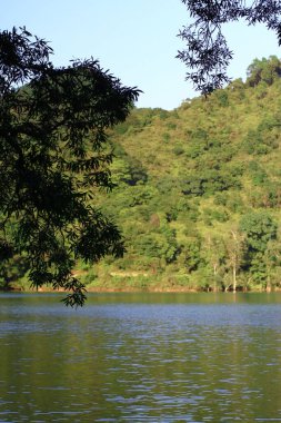 3 Ağustos 2008 Hong Kong Shing Mun Şehir Parkının yaz zamanı.