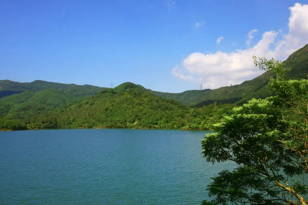 Ağustos 2008 Hong Kong Shing Mun Şehir Parkının Yaz Zamanı — Stok fotoğraf