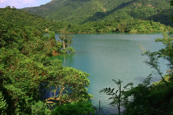 Aug 2008 Summer Time Hong Kong Shing Mun Country Park — Stock Photo, Image