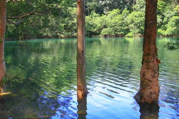 Aug 2008 Sommerzeit Hong Kong Shing Mun Country Park — Stockfoto