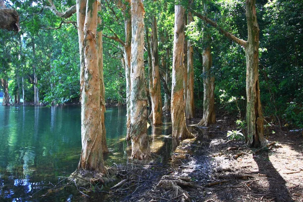 Aug 2008 Sommerzeit Hong Kong Shing Mun Country Park — Stockfoto