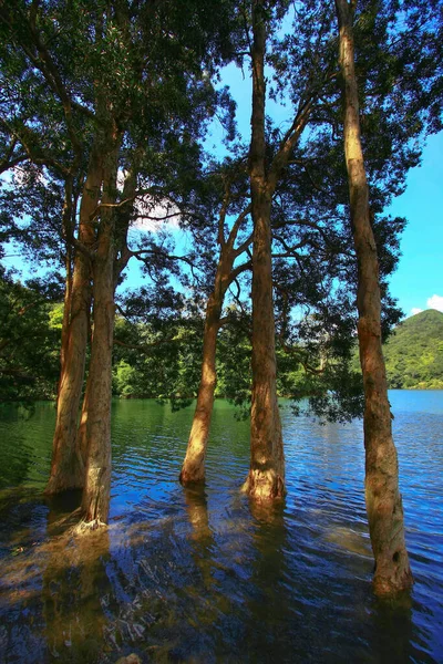 Agosto 2008 Hora Verão Hong Kong Shing Mun Country Park — Fotografia de Stock