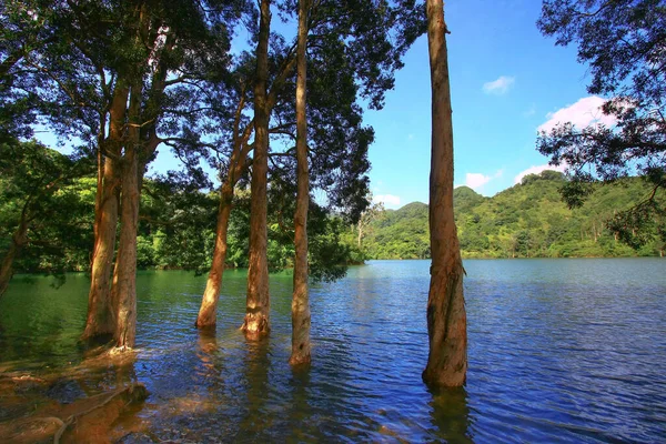 Agosto 2008 Hora Verão Hong Kong Shing Mun Country Park — Fotografia de Stock