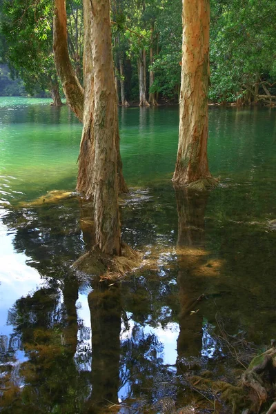 Agosto 2008 Hora Verano Hong Kong Shing Mun Country Park — Foto de Stock