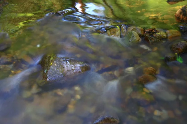 Aug 2008 Zomertijd Van Hong Kong Shing Mun Country Park — Stockfoto