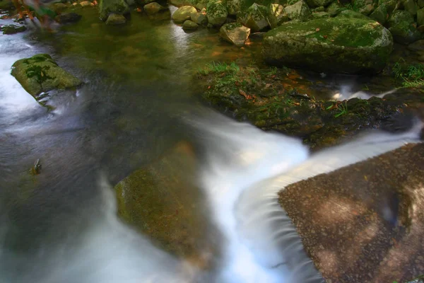 2008年8月3日香港の夏時間 Shing Mun Country Park — ストック写真